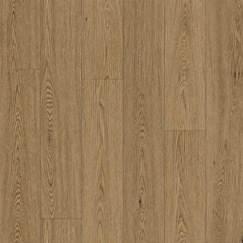 JD. Oak C