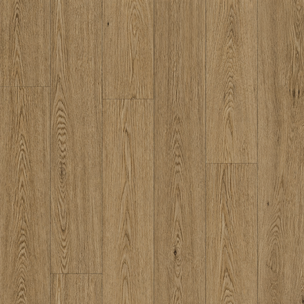 JD. Oak C