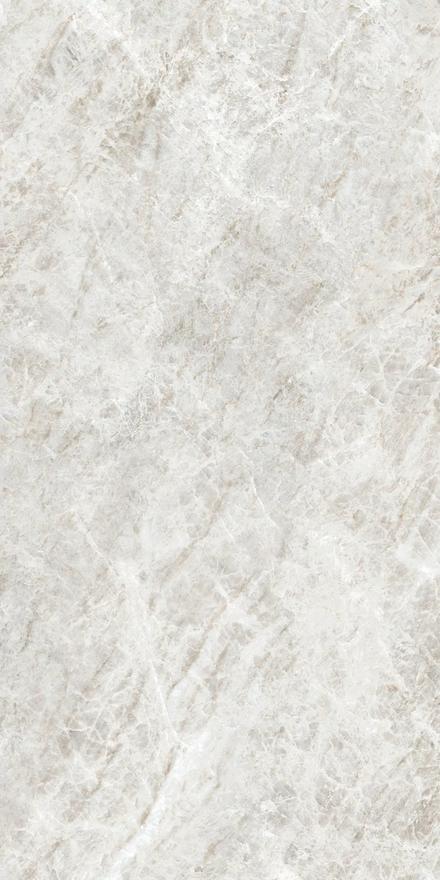 Iconic Life Rice Yamuna Matte Silk 1