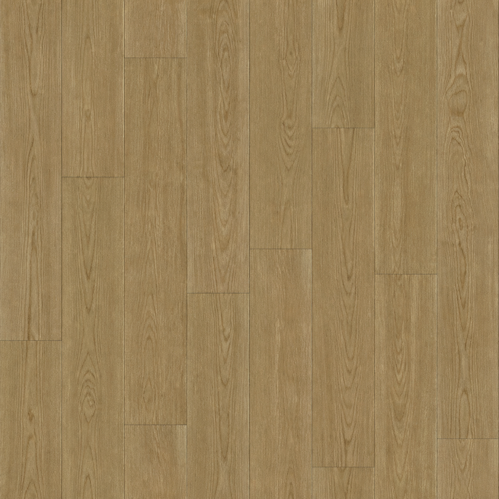 JD. Birch UV
