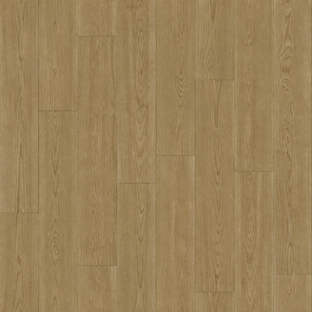 JD. Birch UV