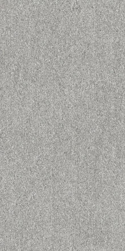 Biotech Serizzo Stone MATTE