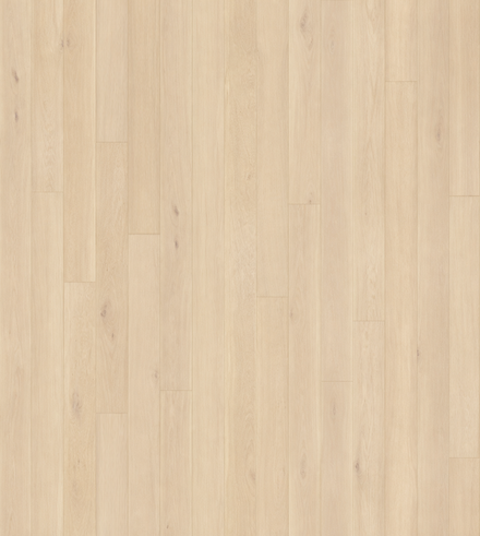 IR. Venezia