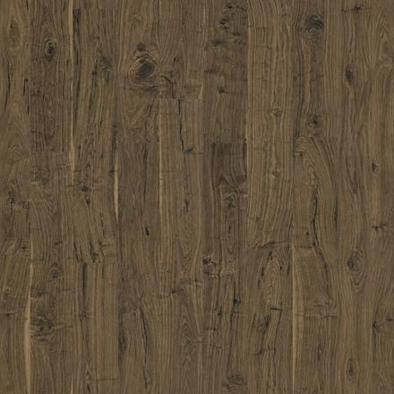 IR. Gothic Walnut