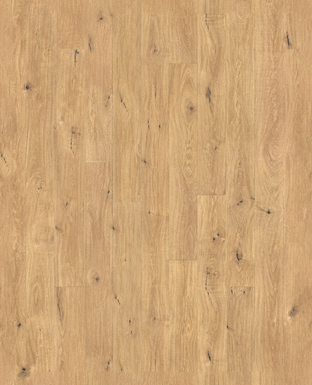 IR. Gothic Walnut