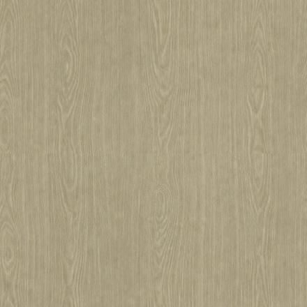 OAK-106