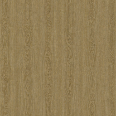 OAK-042