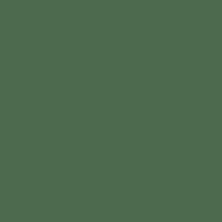 CTB-4305