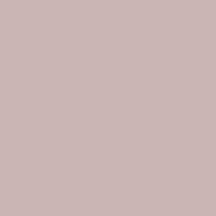 CTB-4318